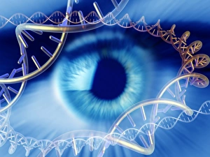 Deoxyribonucleic Acid Prints: Genetics research, conceptual image