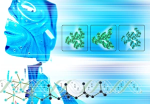 Genomics Genomics