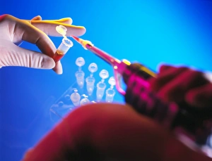 Gloved hands pipetting a liquid into a vial Gloved hands pipetting a liquid into a vial