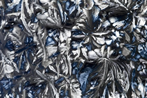 Polarised Light Micrograph Prints: Glycine crystals, light micrograph