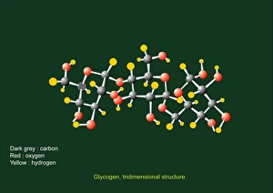 Images Dated 11th April 2011: Glycogen units Molecular Print