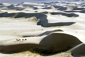 Sand Dunes Landscape Prints: Gobi Desert