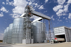 Grain Storage Print - Tower Silos