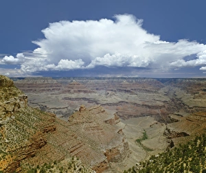 Grand Canyon with Thunderhead Cloud Grand Canyon with Thunderhead Cloud