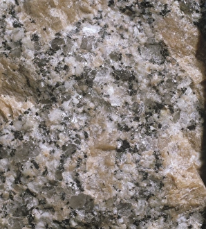 Geological Formations Prints: Granite C013 / 6563