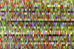 DNA Prints: Grapevine Genome Sequencing Print