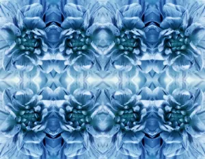 Colorful Flower Arrangements Prints: Flower petals