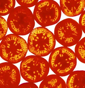 Graphics And Pattern Prints: Tomato Slices Print