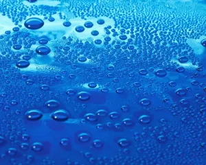 Graphics And Pattern Prints: Water Droplets Print - Condensed Water Formations on a Flat Surface