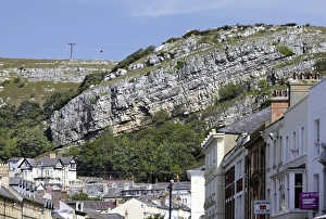 Images Dated 30th March 2012: Great Orme Limestone Strata Print