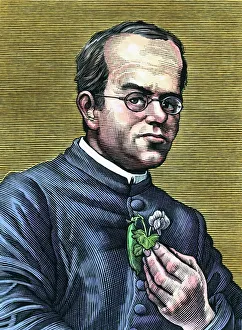 19th Century Scientist Prints: Gregor Mendel, Austrian botanist