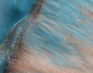 Martian Landscape Prints: Gullies on Mars