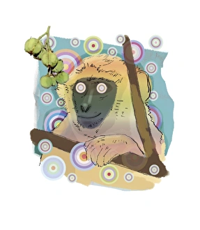 Euphorbiaceae Family Prints: Hallucinating monkey, artwork