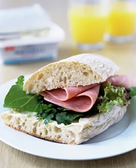 Nutritionally Balanced Meals Prints: Ham sandwich