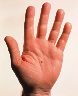 Images Dated 1999 September: Microcogs Print: Hand holding microgear mechanism