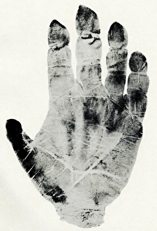Prints of Handprint of gorilla, artwork from Dr Henry Fauldss Guide to Finger-print Identification, 1905. Faulds, a Scottish scientist, was an early developer of fingerprint analysis Images Dated 2006 October: A young gorilla's right hand print, featuring palmar creases