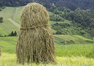 Tatra Mountains Landscape Prints: Hay stack