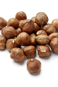 Edible Nuts Prints: Hazelnuts