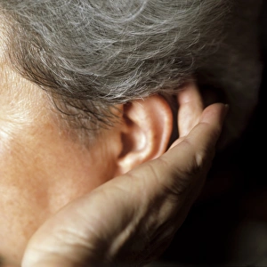 Prints of MODEL RELEASED. Hearing loss. Elderly woman with her hand to her ear as she is straining to hear Images Dated 2005 September: Hearing Loss Print - Elderly Woman Straining to Hear