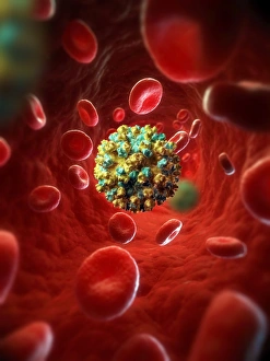Computer Artwork Virus Prints: Hepatitis E infection, artwork