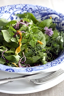 Fresh Leafy Greens Prints: Herb salad