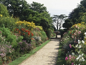 Herbaceous Perennials Prints: Herbaceous borders