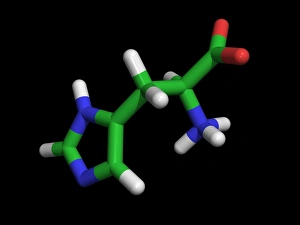Histidine amino acid Histidine amino acid