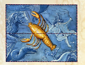 Historical artwork of the constellation of Cancer Historical artwork of the constellation of Cancer