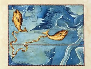 Images Dated 10th March 2003: Historical artwork of the constellation of Pisces