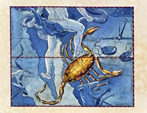 Historical artwork of the constellation Scorpius Historical artwork of the constellation Scorpius