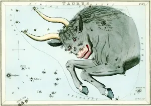 19th Century Astronomy Prints: Taurus constellation