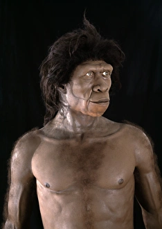 Ancient Human Ancestor Prints: Homo ergaster