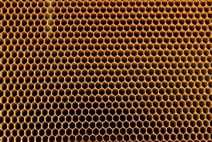 Prints of A honeycomb core made from reinforced plastic, used as the filling in a honeycomb sandwich between two sheets of either aluminium or a manmade material such as carbon fibre reinforced plastic (CFRP) Images Dated 2010 September: Honeycomb Core Print