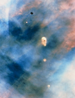 Hubble Telescope Prints: Hubble Image of Protoplanetary Discs in Orion Nebula Print