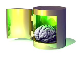 Human Brain Print