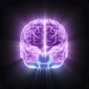 Brain Computer Artwork Prints: Human brain, computer artwork