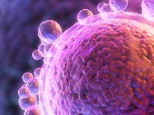 Reproductive Biology Images Prints: Human egg cell, artwork