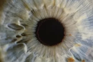 Images Dated 23rd July 1985: Human eye