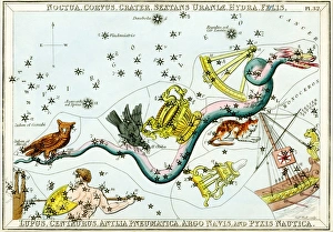 Astronomy Teaching Aid Prints: Hydra constellation