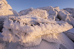 Prints of Ice feathers. These ice formations on granite boulders are also known as frost feathers. It is a type of hoar frost which forms on the windward side of objects subjected to icy winds Images Dated 2006 April: Ice Feathers Print