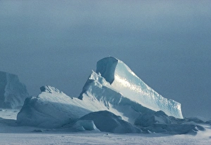 Iceberg frozen into sea ice Print