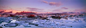 Jokulsarlon Iceland Prints: Icebergs