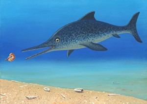 Prehistoric Sea Creature Prints: Ichthyosaur and prey, artwork