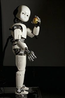 iCub Robot Holding an Apple Print