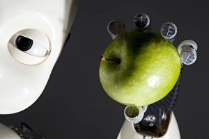 Prints of iCub robot holding an apple. The iCub is a small humanoid robot designed by the RobotCub Consortium of scientists from European universities Images Dated 2012 September: iCub Robot Holding an Apple Print