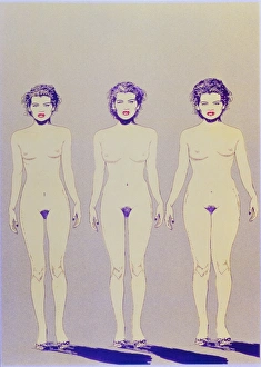 Illustration of 3 body shapes of women Illustration of 3 body shapes of women