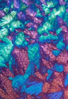 Polarised Light Microscopy Prints: Immunoglobulin crystals, light micrograph