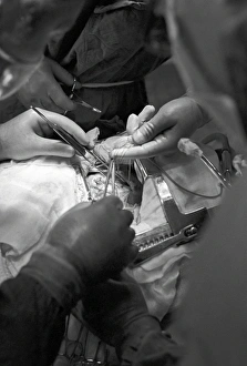 Images Dated 22nd October 2012: Implanting a Nuclear Pacemaker Print