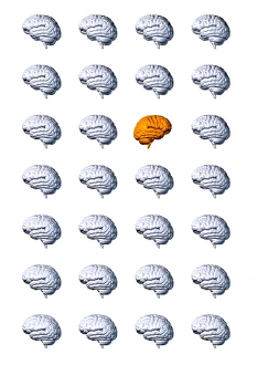 Computer Generated Brain Image Prints: Individual brain
