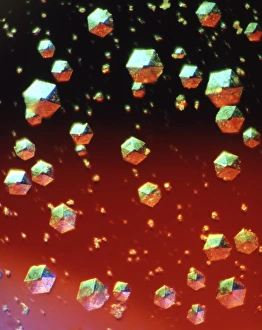 Insulin Crystals Print